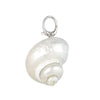 Shell pendant with silver hook on a white background - Seol Gold