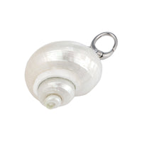 Sterling Silver Natural Conch Shell Pendant - Seol Gold