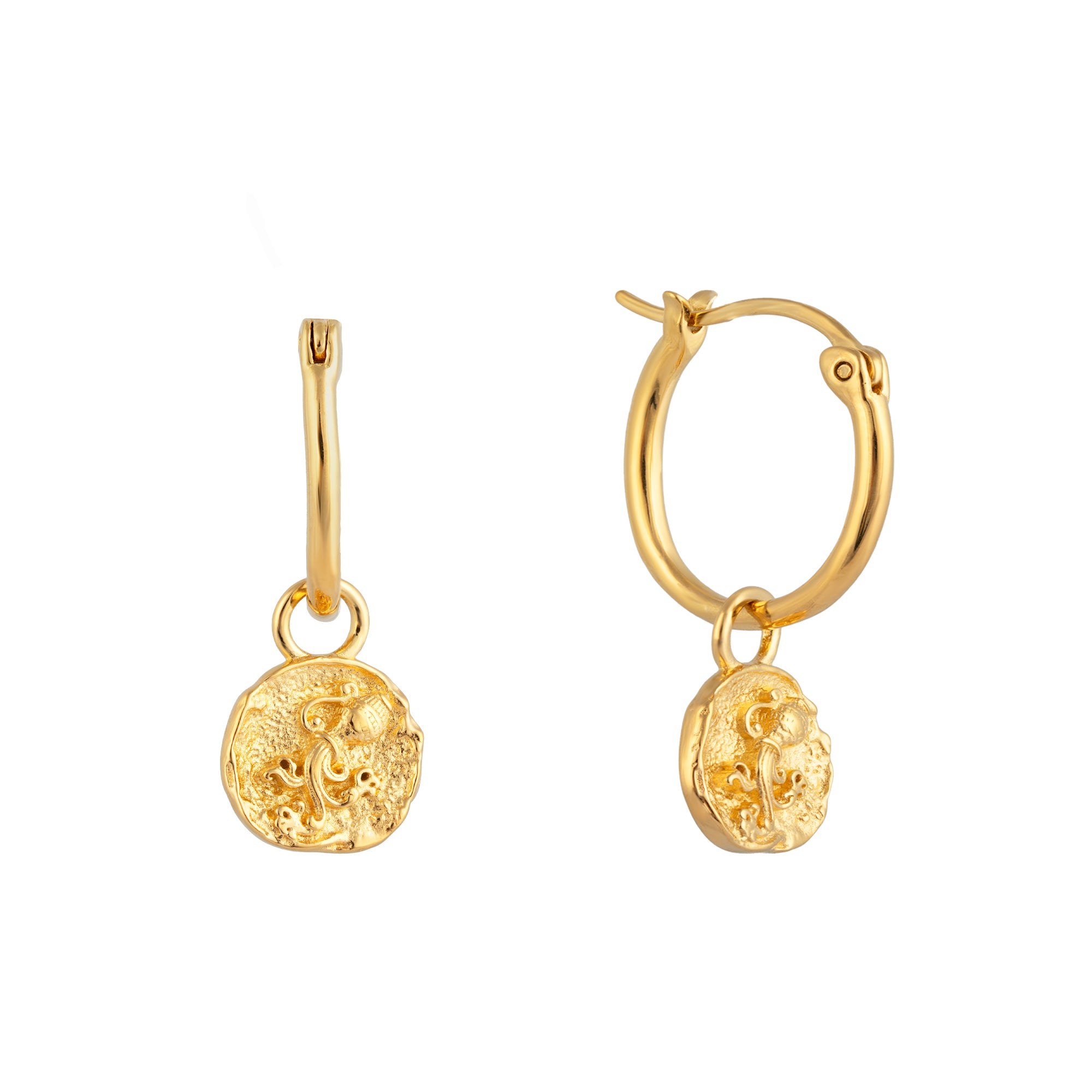 18ct Gold Vermeil Aquarius Star Sign Charm Hoop Earrings - seolgold