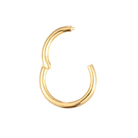 gold cartilage earring - seol-gold