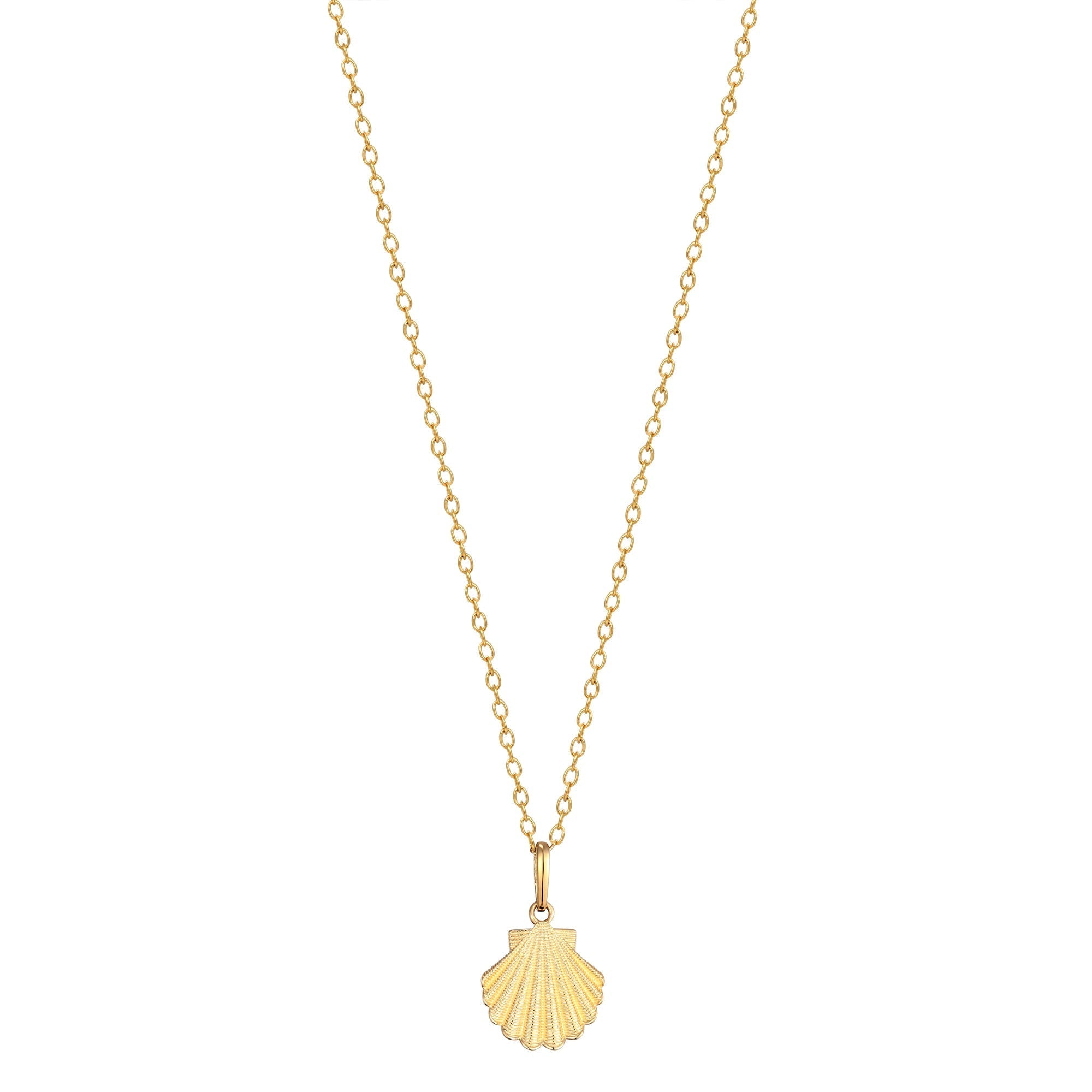 Gold Shell Necklace - seol-gold