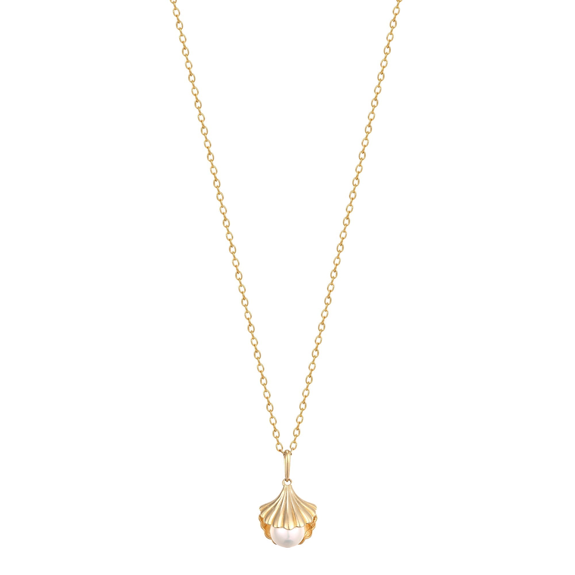 gold shell necklace - seol-gold
