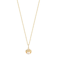 gold shell necklace - seol-gold