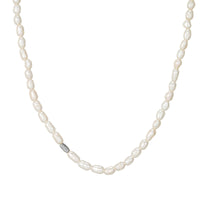Seol Gold - Pearl Choker Necklace 