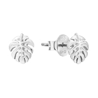 silver - cheese plant studs - seol gold
