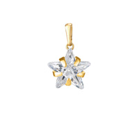 Gold pendant with a clear star-shaped crystal on a white background - seolgold