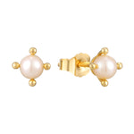 9ct Solid Gold Pearl Studs