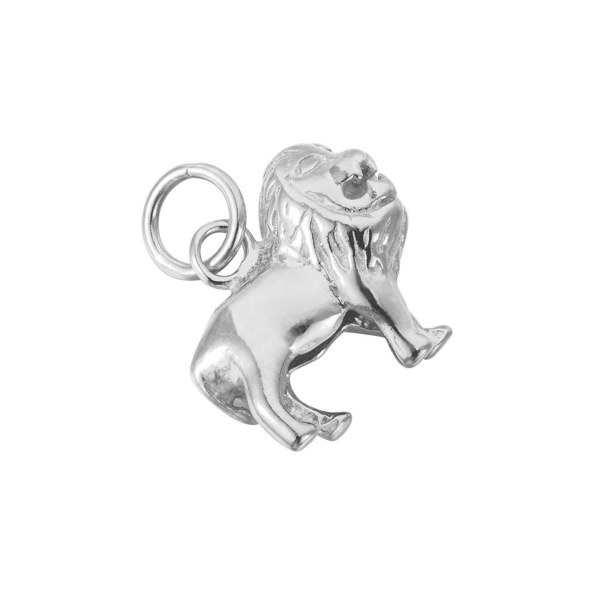 21'' Lion Charm Necklace 16mm in Silver main image 1