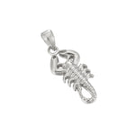 Sterling Silver Scorpion Charm