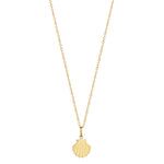 Gold Shell Necklace - seol-gold
