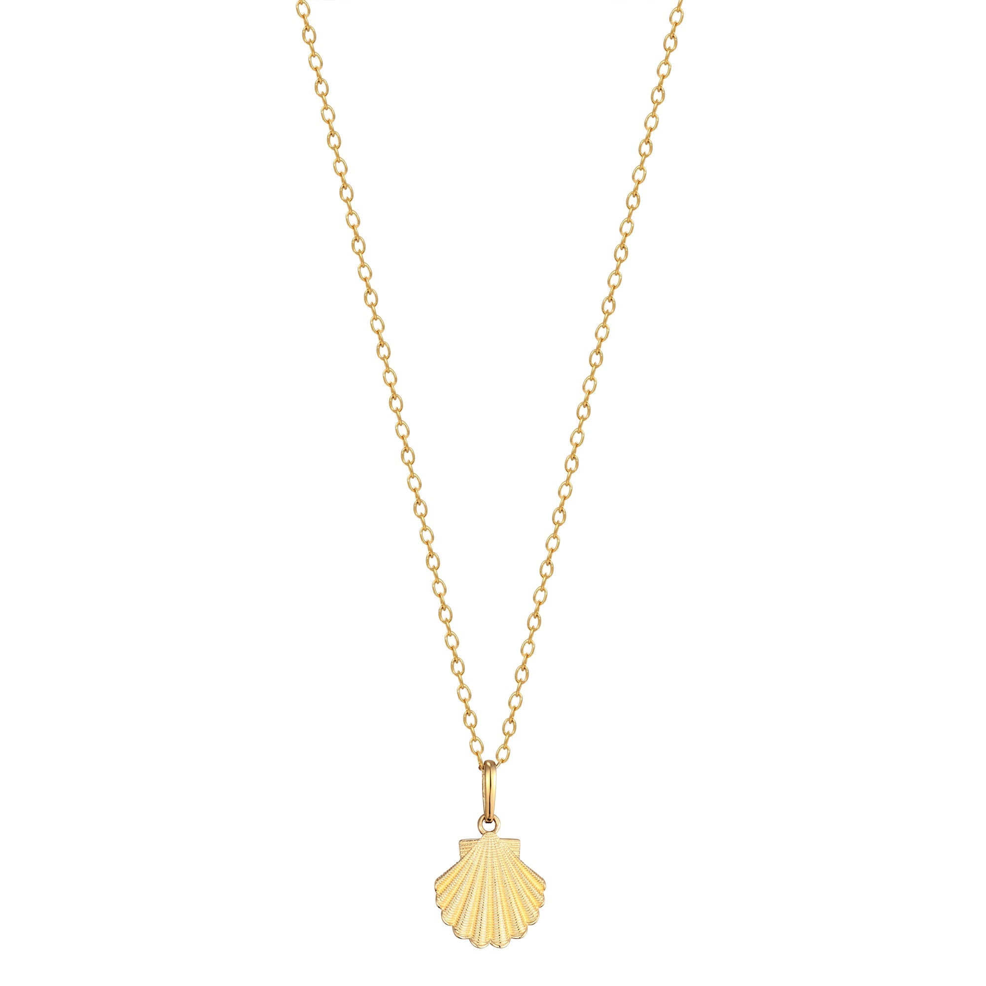 Gold Shell Necklace - seol-gold