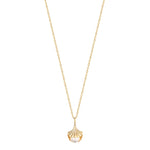 gold shell necklace - seol-gold